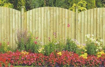 Archedl closeboard fencing